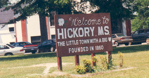 hickory2